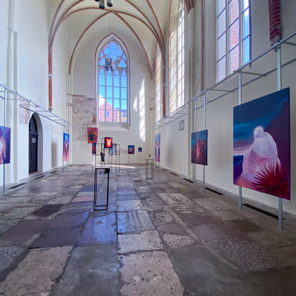 L-Dziedzic-NKS_DOKU-45